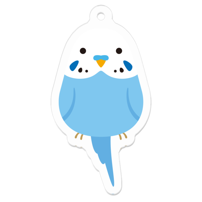 セキセイインコ（ブルー）