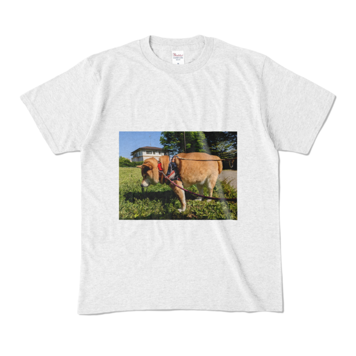 カラーTシャツ - M - アッシュ (淡色)