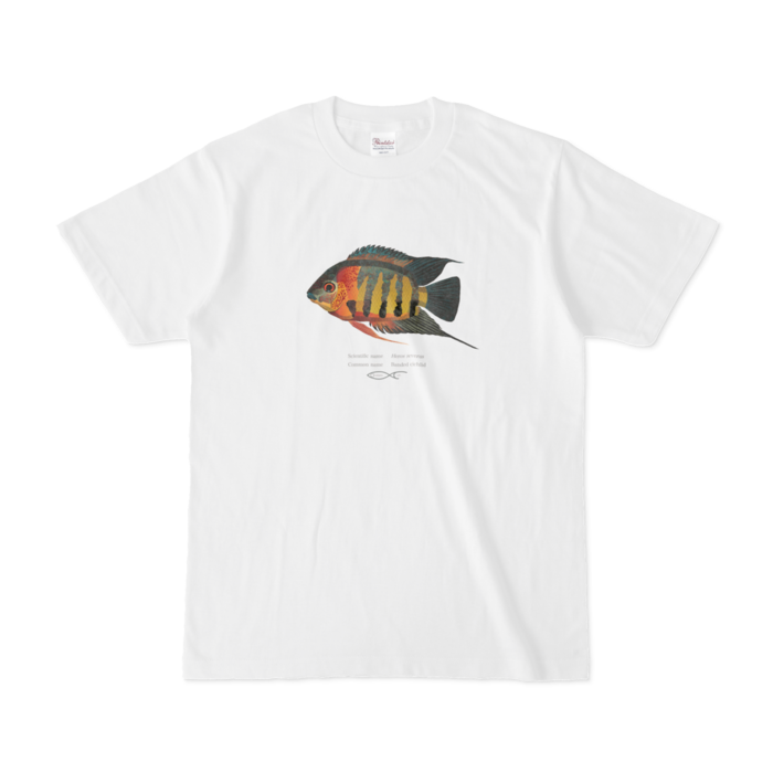 Tシャツ - S - 白