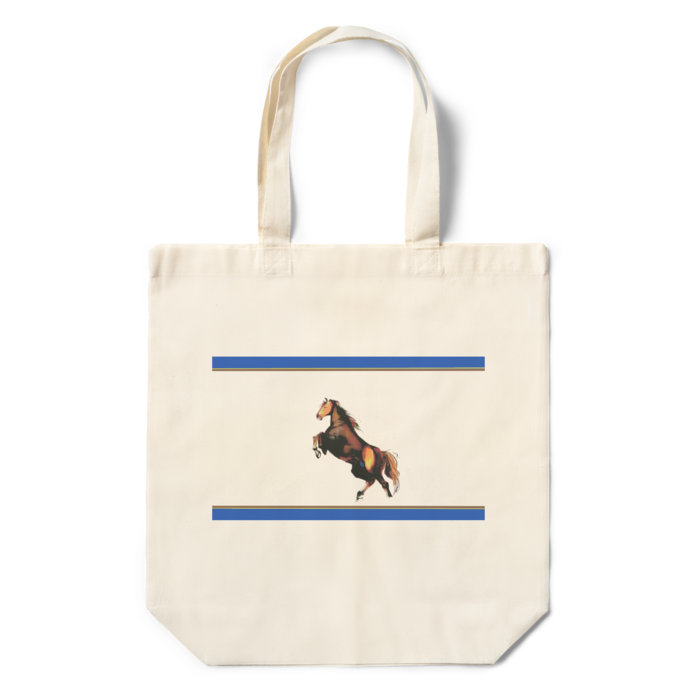 エコバッグ - 360×370×110(mm)