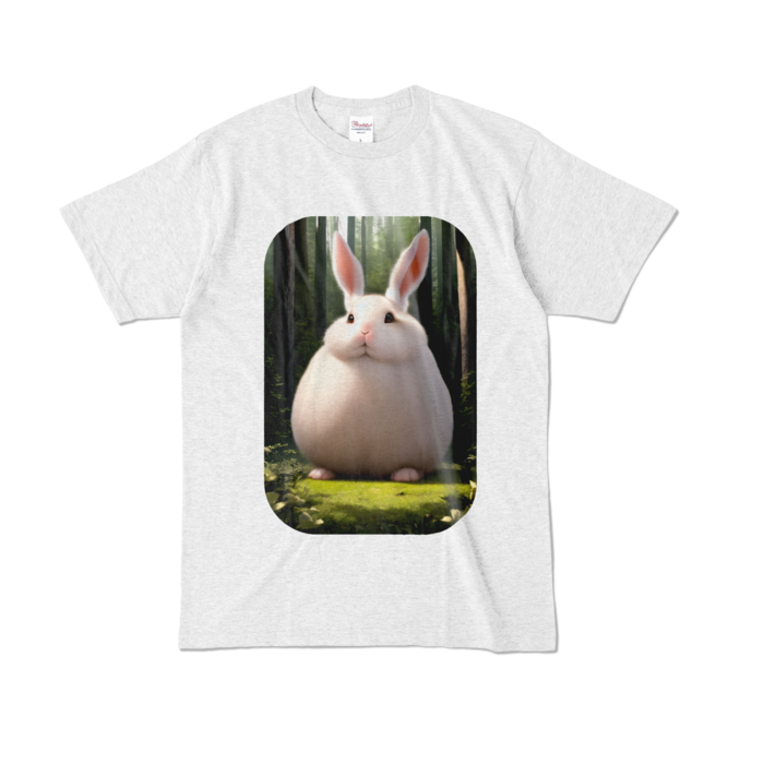 カラーTシャツ - L - アッシュ