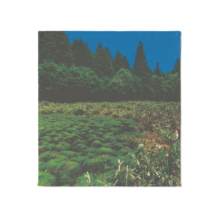 自然からの贈り物