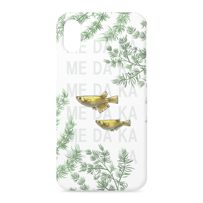 XS / X - 側面あり