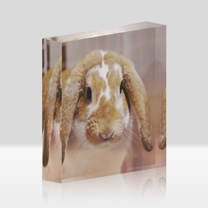 アクリルブロック - 100x100mm