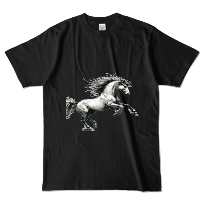 カラーTシャツ - L - ブラック (濃色)