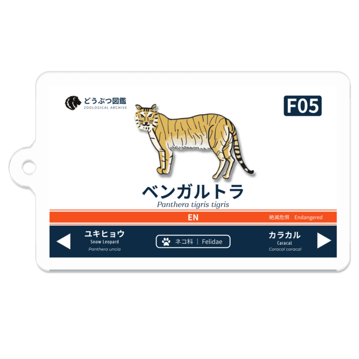ベンガルトラ