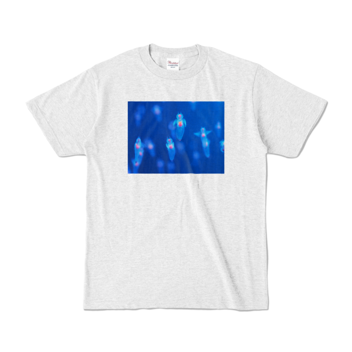 カラーTシャツ - S - アッシュ (淡色)