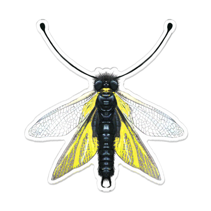 アクリルバッジ - 100 x 100 (mm)