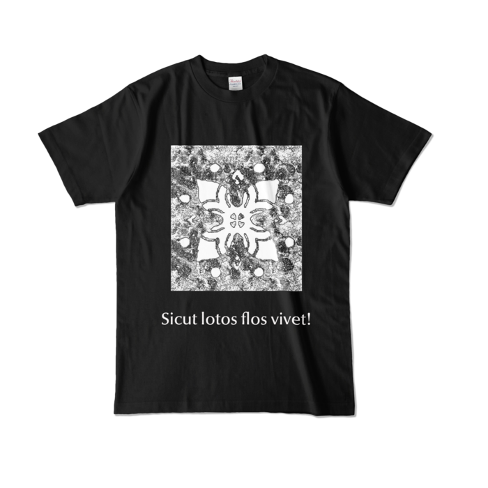カラーTシャツ - L - ブラック (濃色)×ホワイト