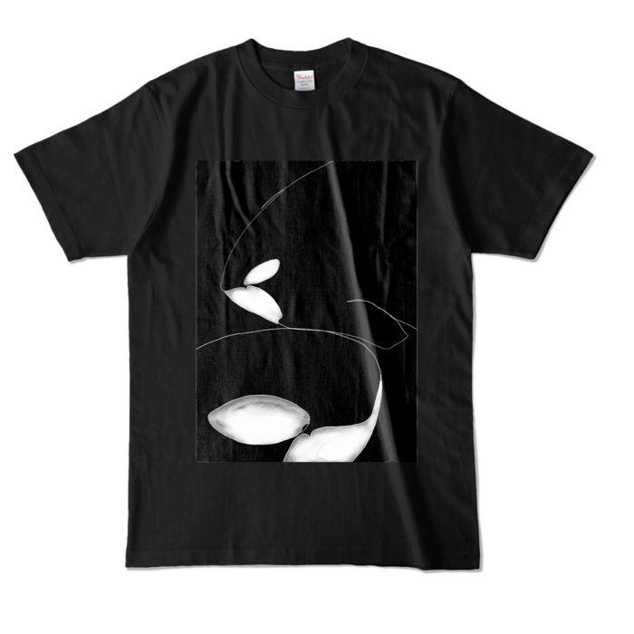 カラーTシャツ - L - ブラック (濃色)