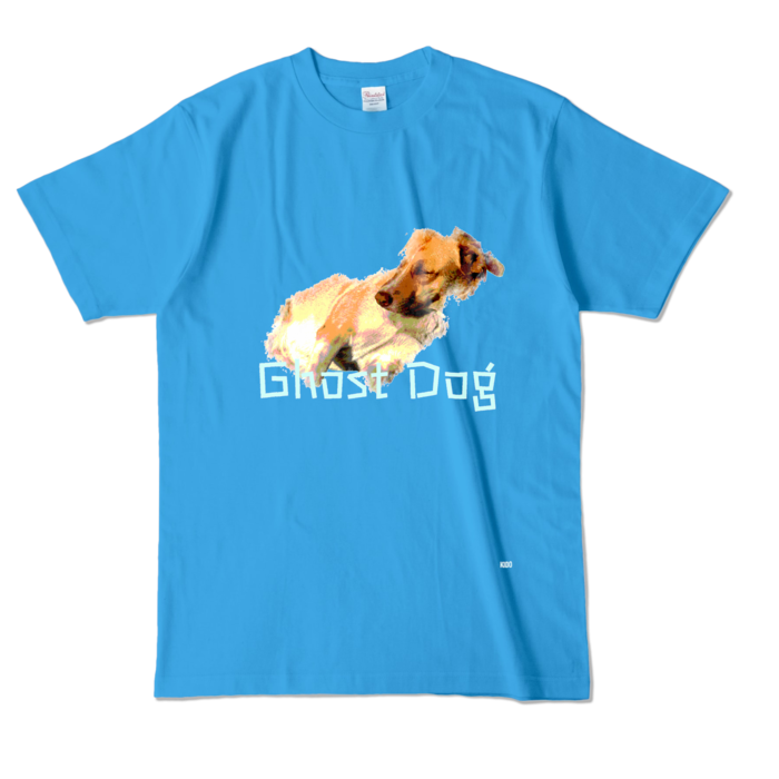 カラーTシャツ - L - ターコイズ (濃色)