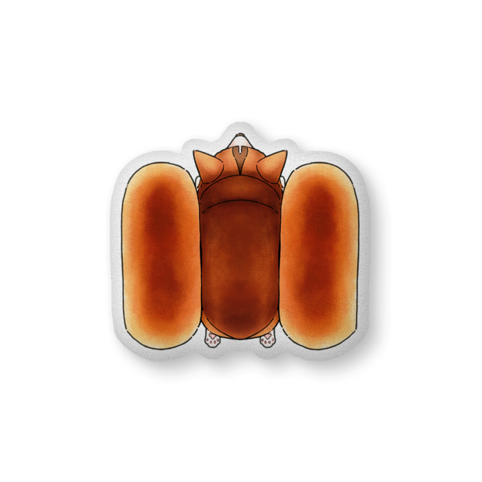 ふかふかクッション - 大 - 片面
