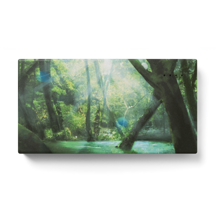 モバイルバッテリー - 123 x 65 (mm)