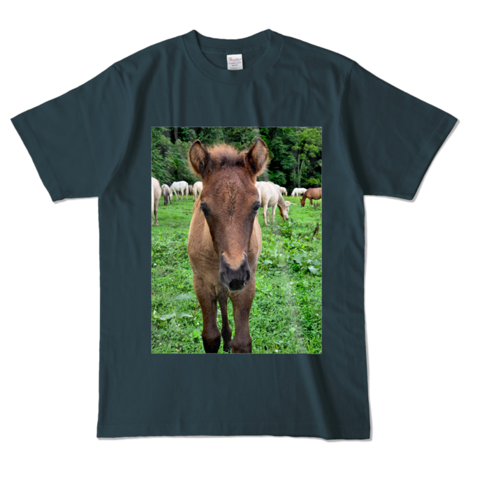 カラーTシャツ - L - デニム (濃色)