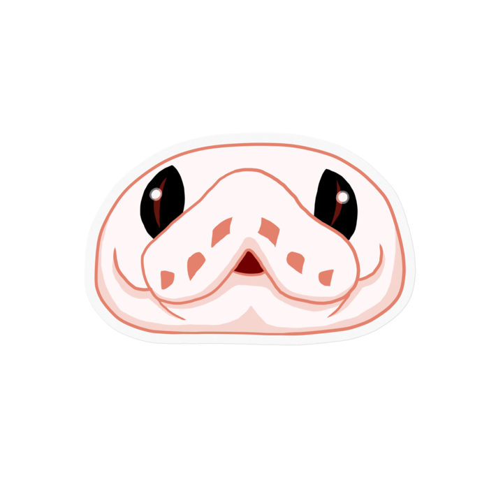 しろいこ