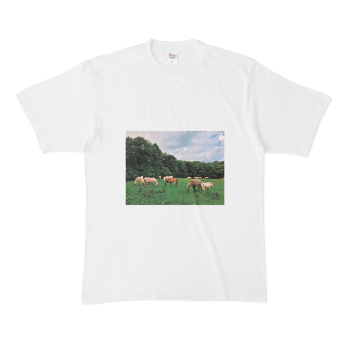 Tシャツ - XL - 白