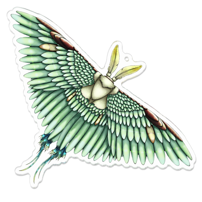 緑　ー　100 x 100㍉／コーティングあり