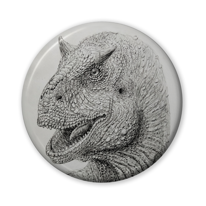 缶バッジ（バリュー） - 56mm