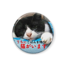 猫がいます缶バッジ はちわれ りんちゃん印 Booth