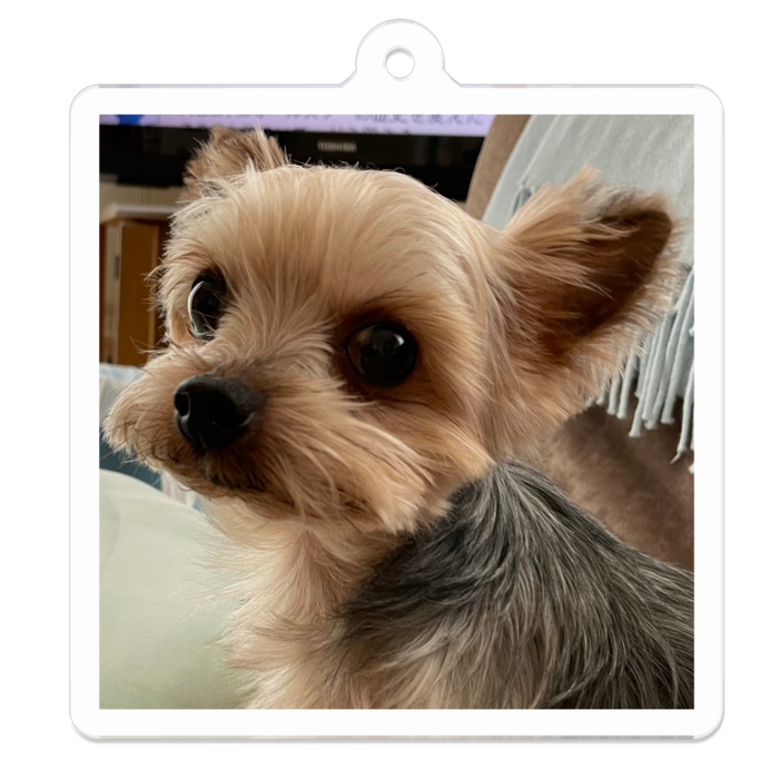 アクリルキーホルダー（コーティング） - 50 x 50 (mm)