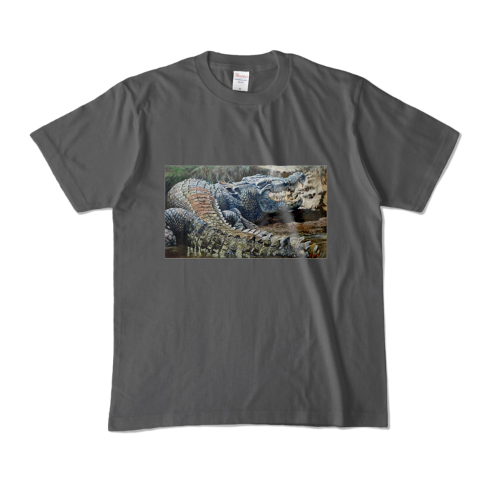 カラーTシャツ - M - チャコール (濃色)