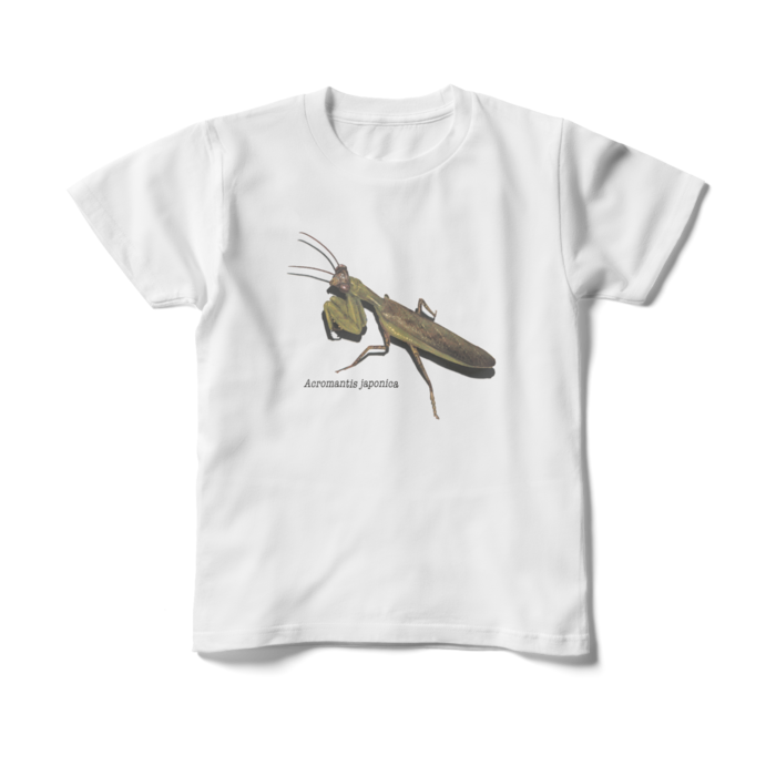 キッズTシャツ - 150cm - 正面