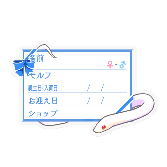 【🐍お名前ステッカー】コーンスネーク(ブリザード)-リボン／ブルー