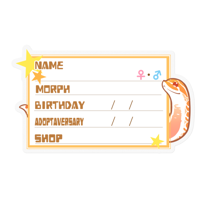 【🐍お名前ステッカー】シシバナ(アルビノ) ‐星(英語)