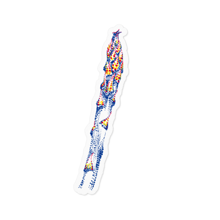 ステッカー - 100 x 100 (mm)