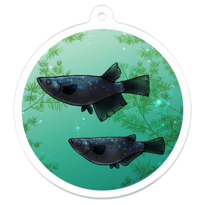 ブラックダイヤ　ー　50 x 50㍉／コーティングなし