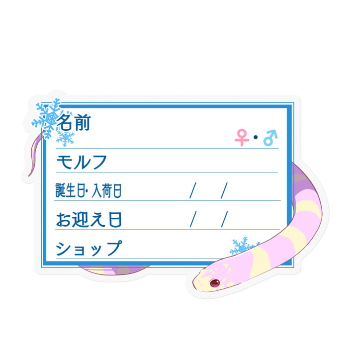 【🐍お名前ステッカー】カリキン(アルビノバンデット) ‐雪