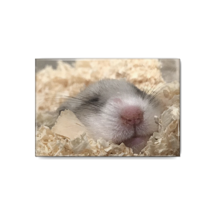 缶バッジ - 80x54mm