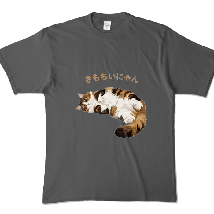 カラーTシャツ - XL - チャコール (濃色)