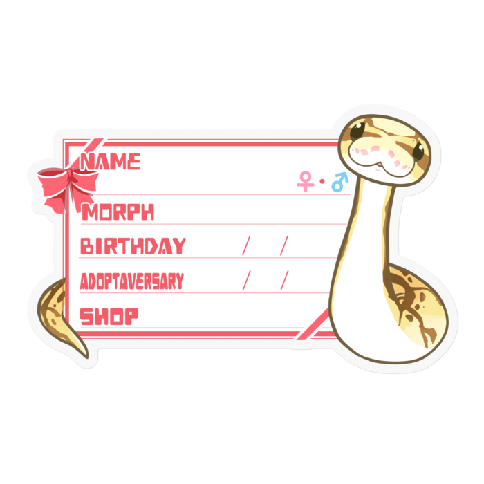 【🐍お名前ステッカー】ボールパイソン(クイーンビー) ‐リボン／ピンク(英語)