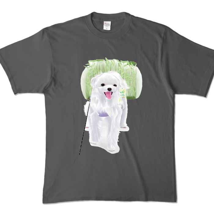 カラーTシャツ - XL - チャコール (濃色)