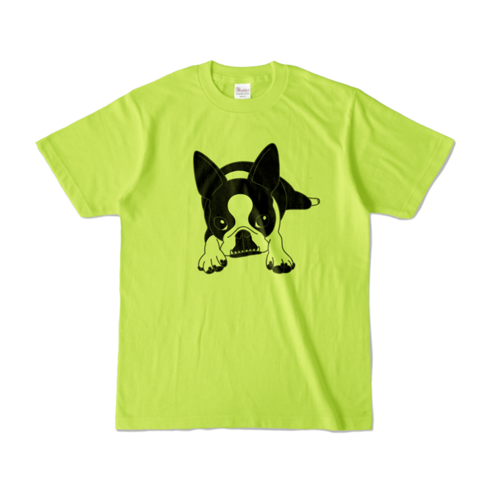 カラーTシャツ - S - ライトグリーン (淡色)