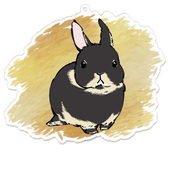 アクリルキーホルダー（コーティング） - 100 x 100 (mm)