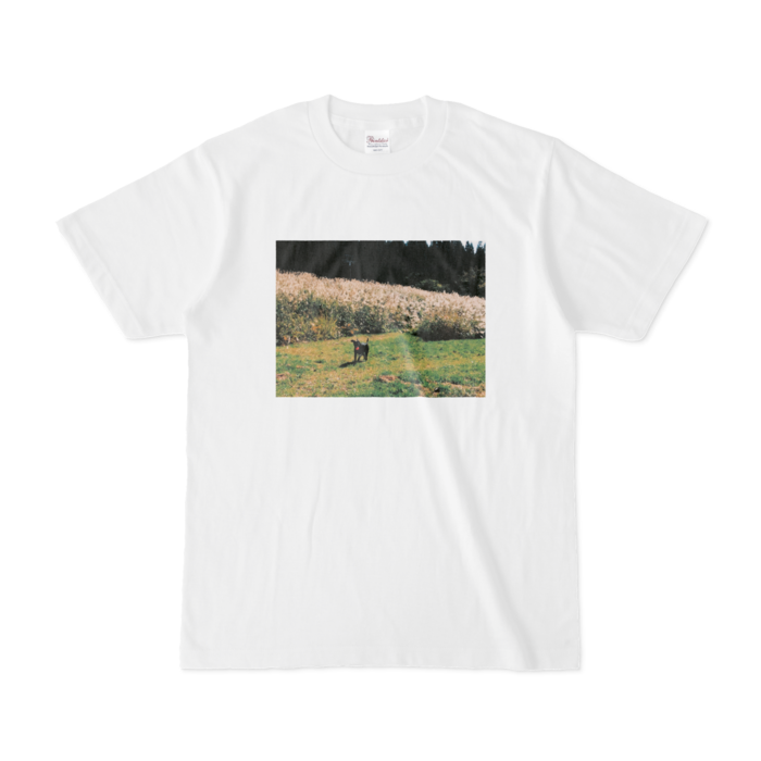 Tシャツ - S - 白