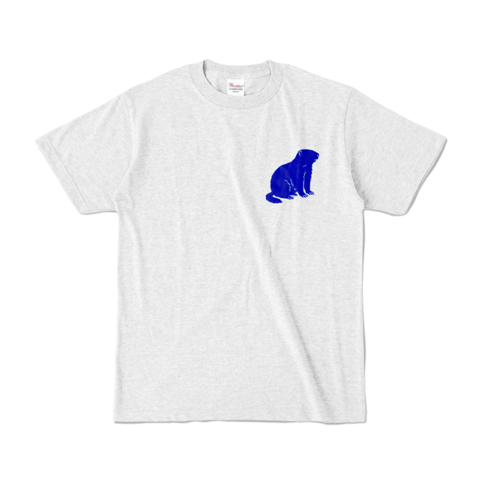 カラーTシャツ - S - アッシュ (淡色)