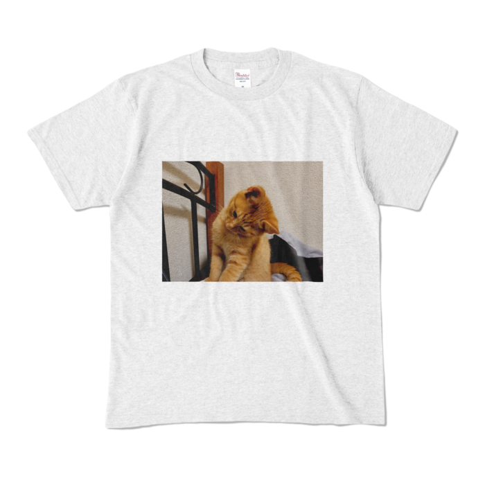 カラーTシャツ - M - アッシュ (淡色)