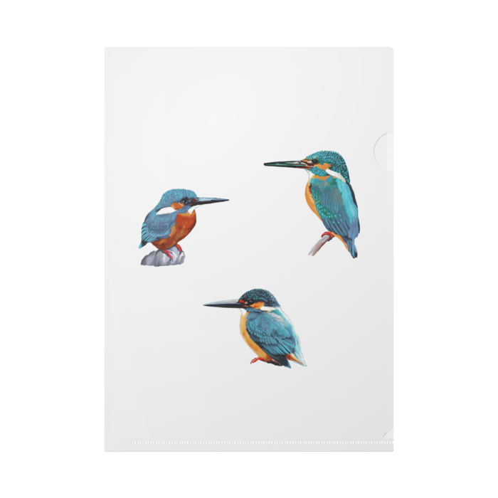 クリアファイル - A4