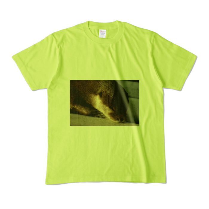 カラーTシャツ - M - ライトグリーン (淡色)