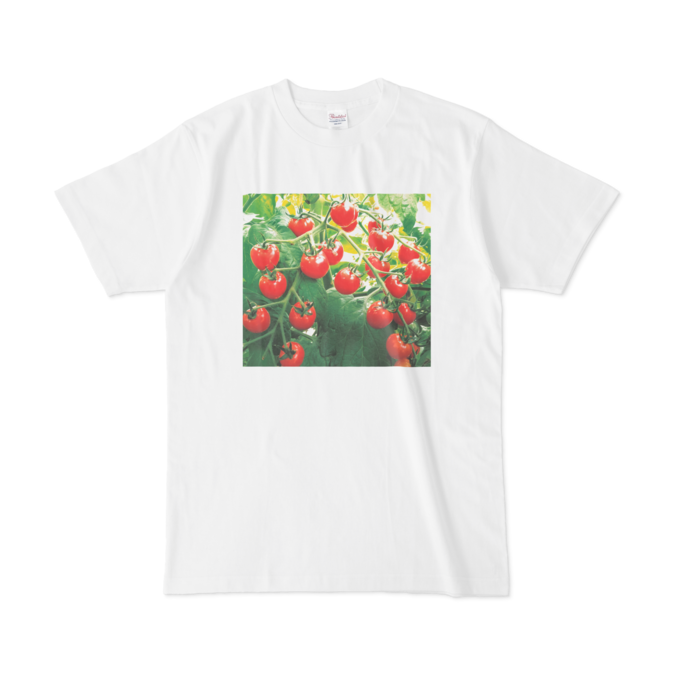 Tシャツ - L