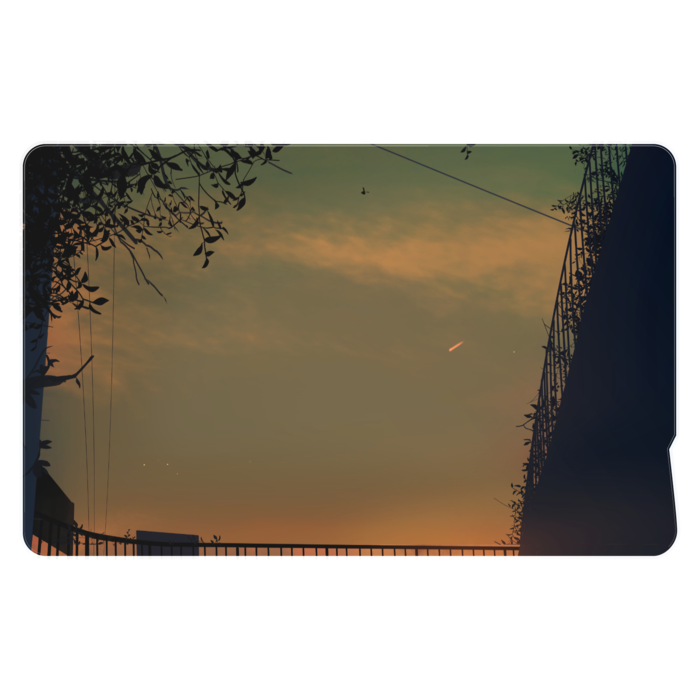 ICカードステッカー - 約85.7x53.9(mm)(9)