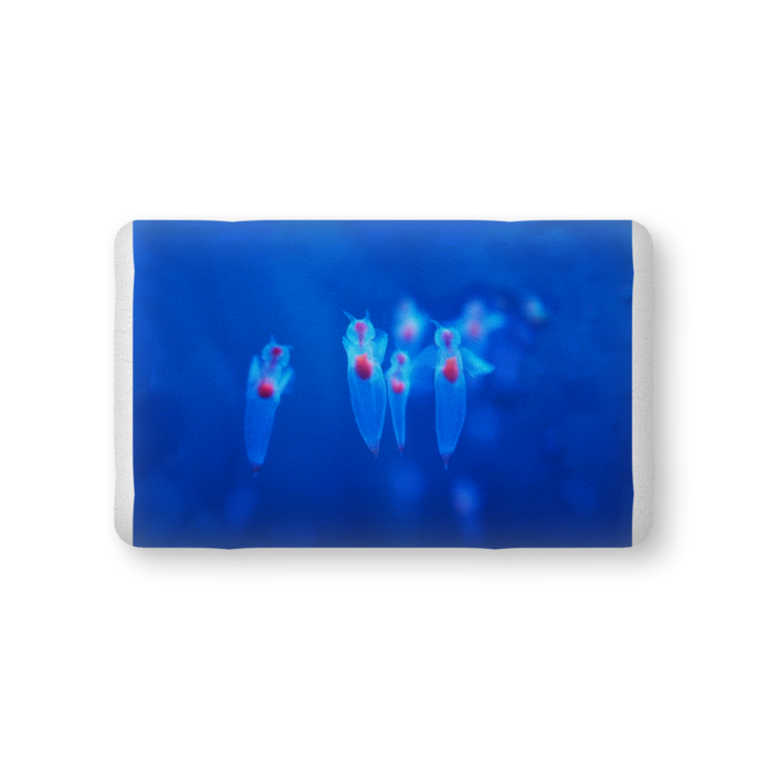 ふかふかクッション - 中（H36×W56cm） - 両面