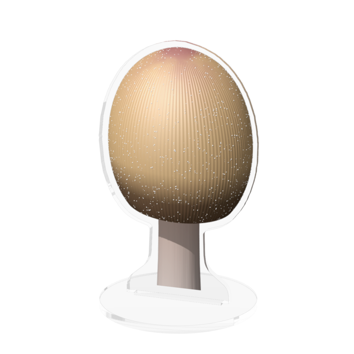 アクリルフィギュア - 100x100mm