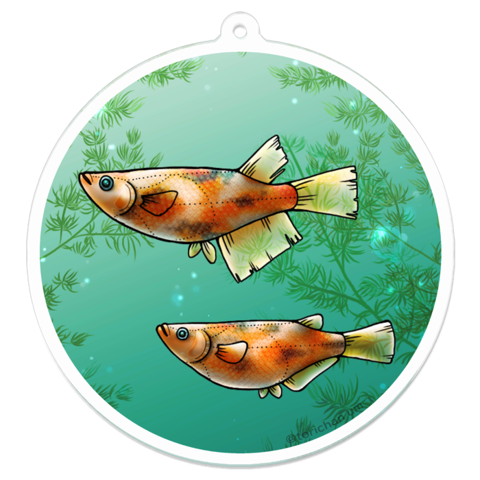 三色　ー　70 x 70㍉／コーティングなし