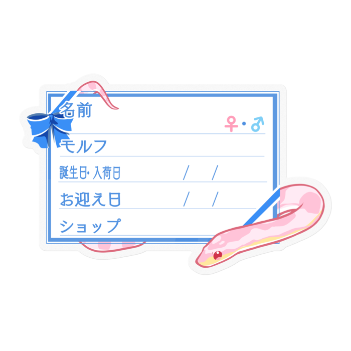 【🐍お名前ステッカー】コーンスネーク(コーラルスノー)-リボン／ブルー