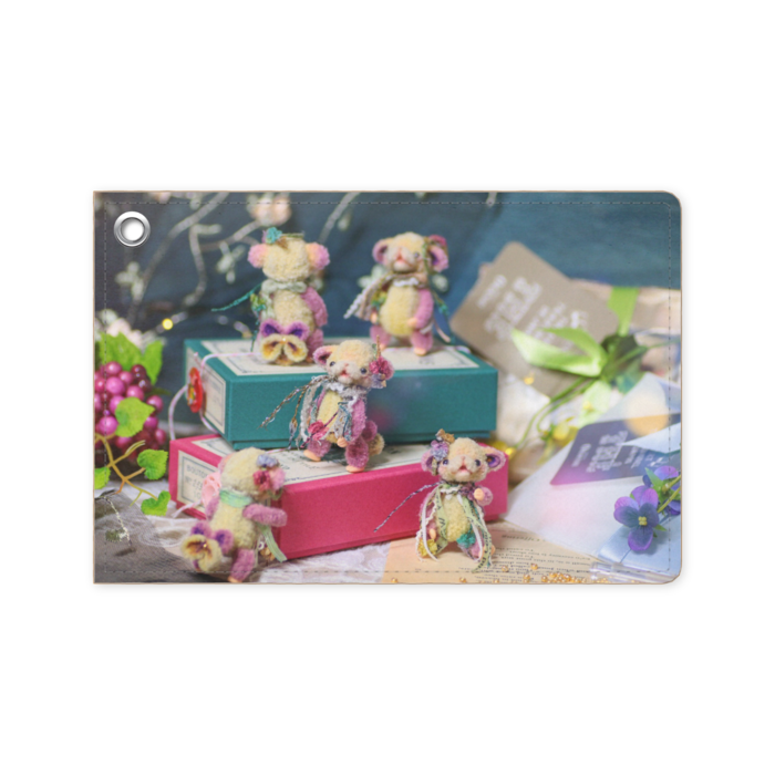 パスケース - 70 x 105 (mm)B