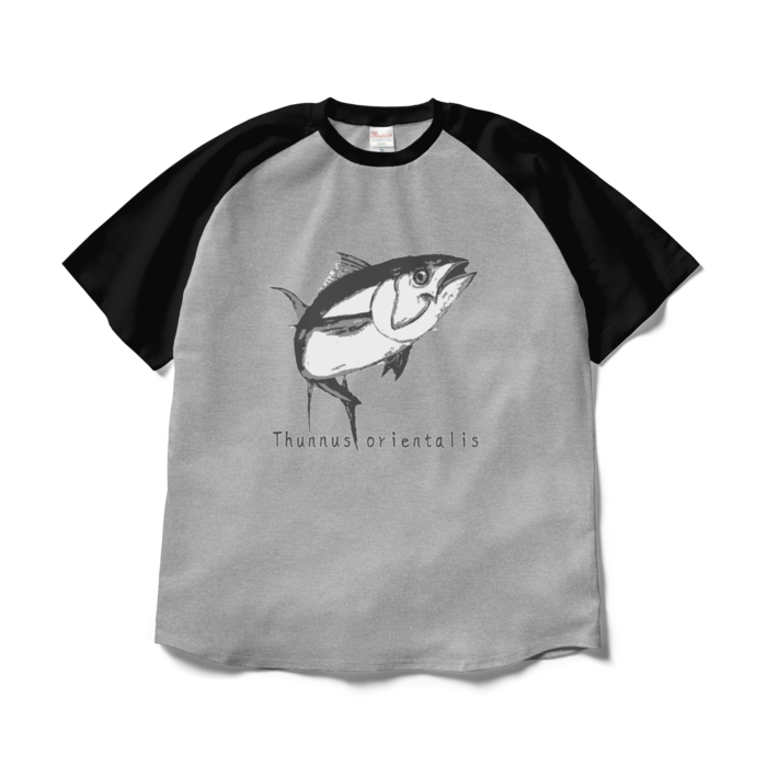 ラグランTシャツ - XL - 正面